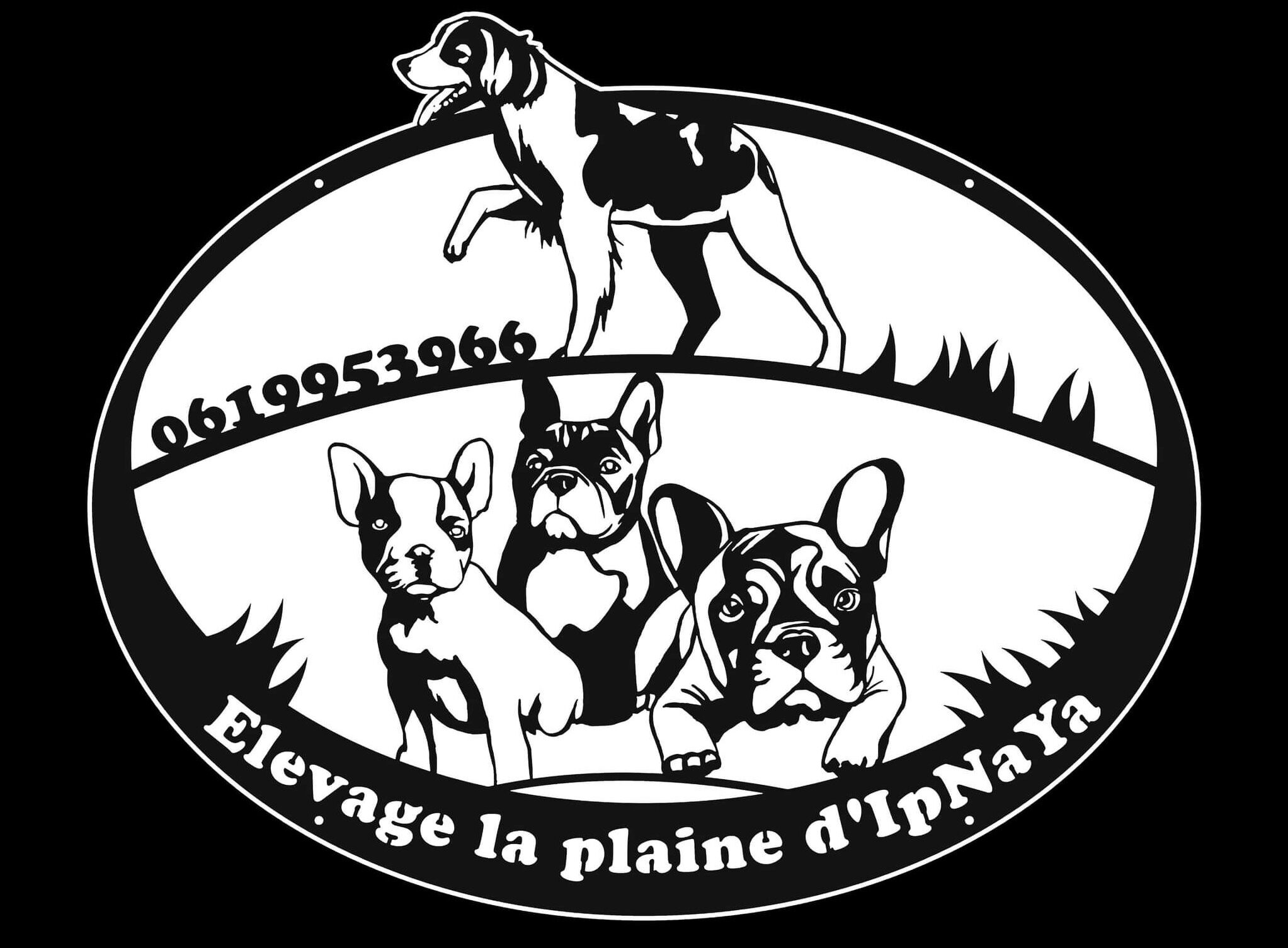 Elevage la plaine d'ipnaya